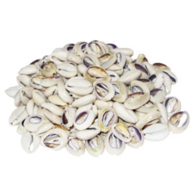 U.S. Shell 08002 Ringtop Center Cut - 50 Piece