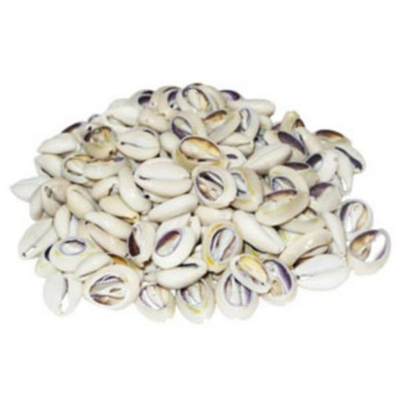 U.S. Shell 08002 Ringtop Center Cut - 50 Piece