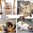 thumbnail image 3 of Pet Supplies Dog Toys for Small and Medium Dog Biting Toys Pet Plush Rubber Toys for Teething, Durable Dog Chew Toys, Brown, 3 of 5