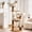 Brown, variant on Modern Cat Tree Tower with Scratching Post, 50.4 Inches Pastel Tall Cat Towers with Capsule, Aesthetic Floral Cat Tower with Toy and Bubble Plush Soft Flower Bed for Indoor Cats