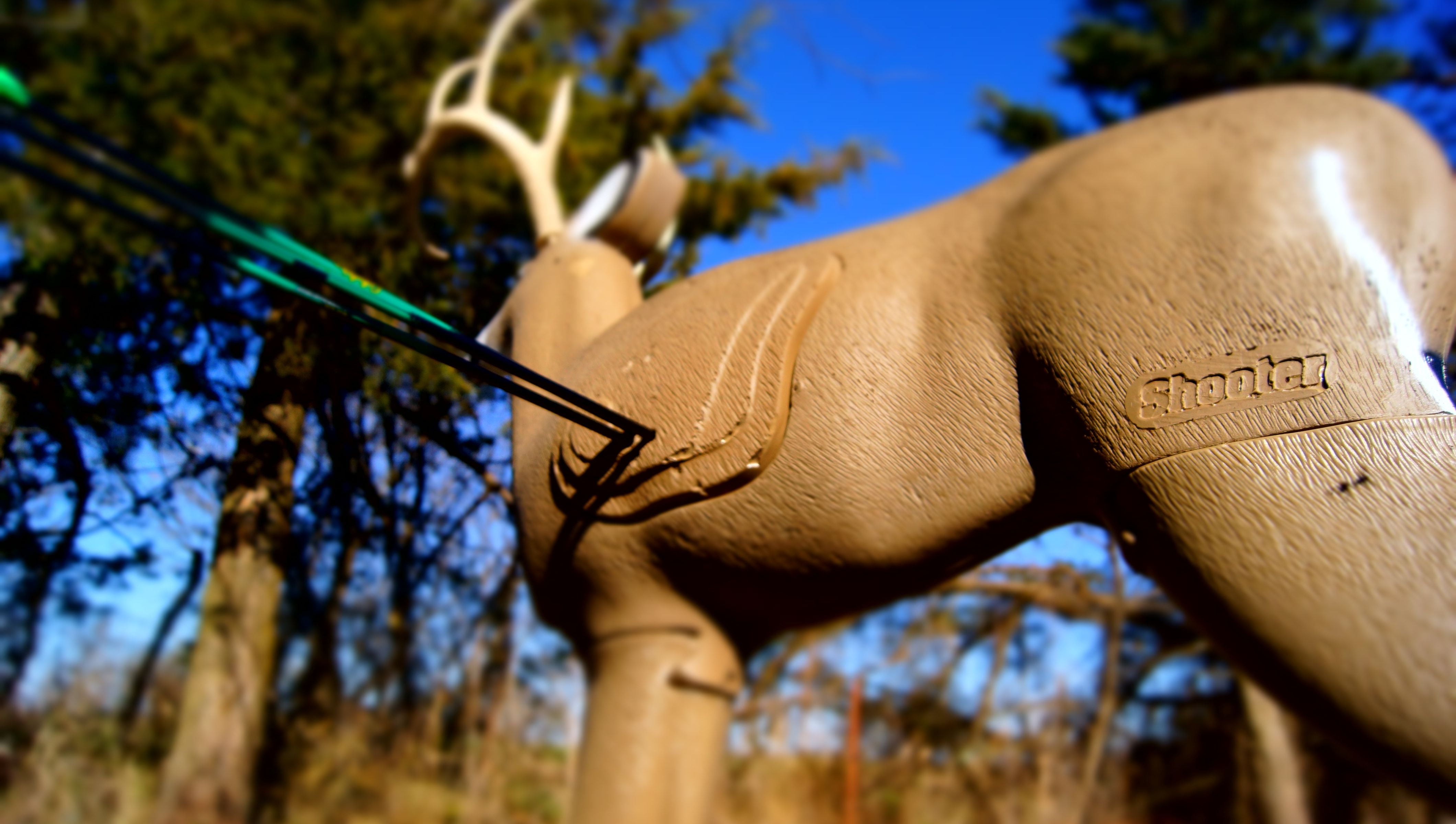 Shooter Buck 3D Deer Archery Target