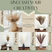 110 Pcs Natural Dried Pampas Grass Bouquet, Bunny Tails Dried Flower, Long-Lasting Dried Flowers Bouquet for Home Wedding Decor, 17 (Without Vase)