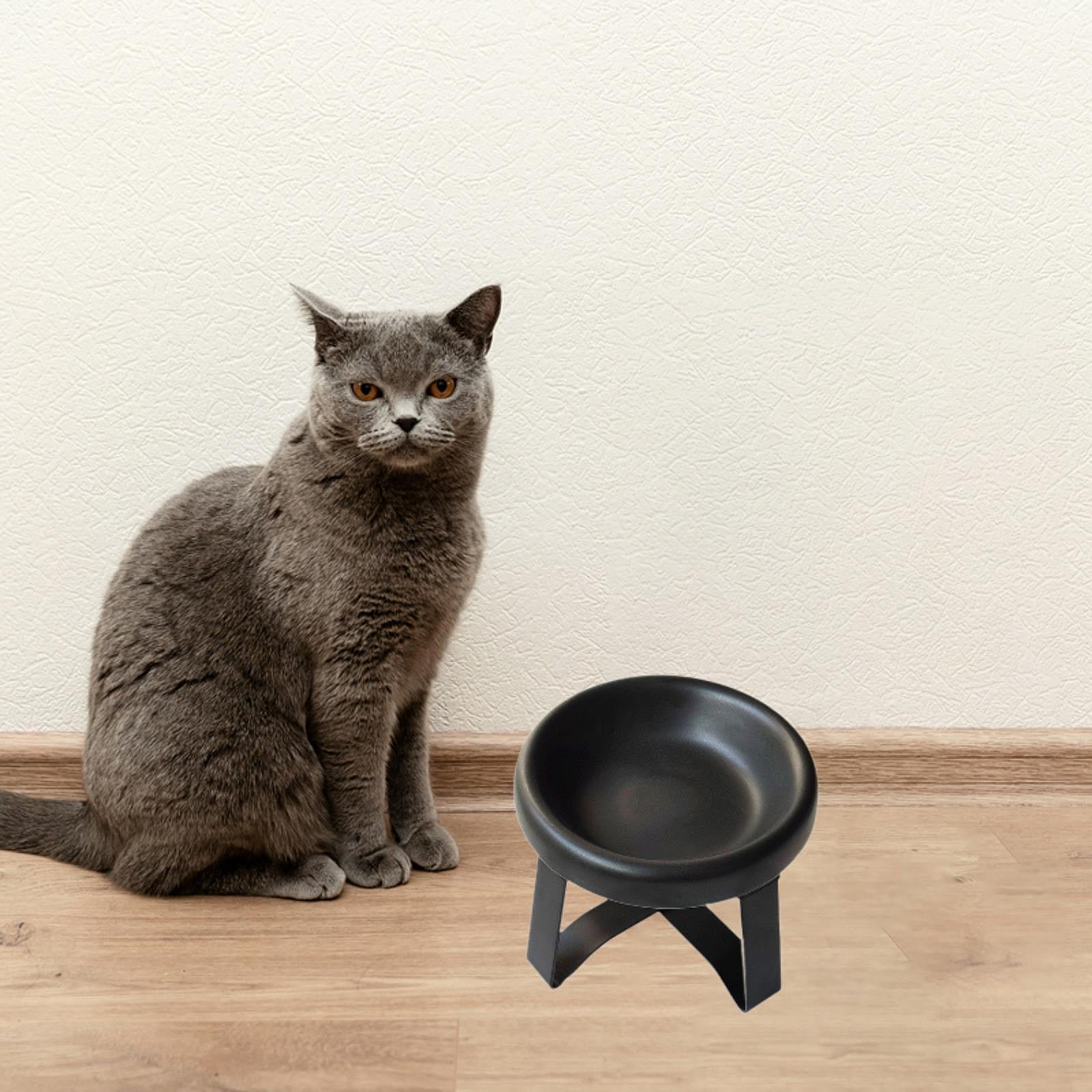 Serenable Cat Bowl Cat Food Dish with Metal Stand, Water Dispenser, Prevents Spills, Ceramic Pet Bowl for Small and Medium Breeds Puppy Black
