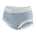 thumbnail image 2 of Swuxness Women's Comfortable Underwear, Panties for Women, Women's Comfortable Breathable Soft Everyday Wear Panties for Ladies Light Blue, XL, 2 of 3