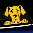 thumbnail image 1 of Peeking Great Dane - Vinyl Decal - Choose Color - [YELLOW], 1 of 1