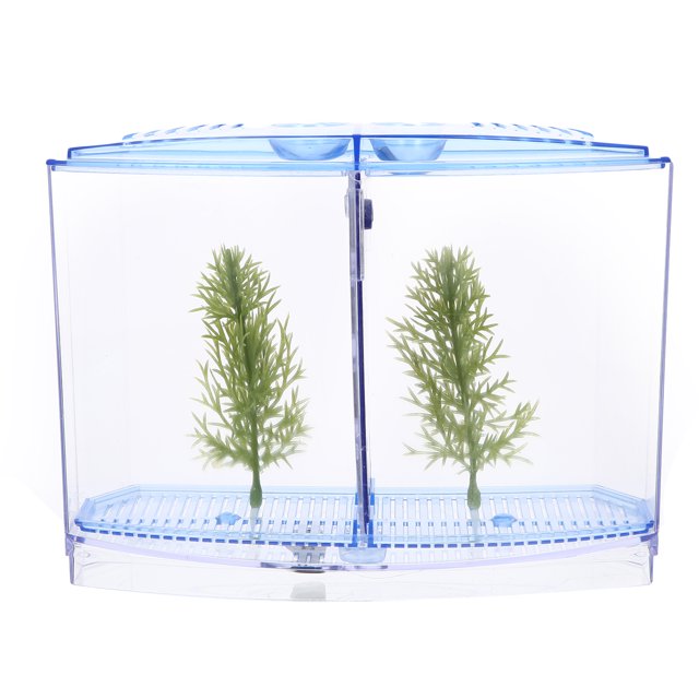 Weiweiguan Mini Plastic Fish Tank Fish Breeding Box Desktop Transparent Fish Tank