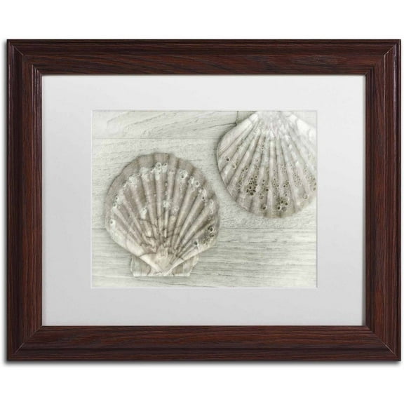 Trademark Fine Art 'Two King Scallop Shells' Canvas Art by Cora Niele, White Matte, Wood Frame