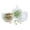 style-4, variant on 2 Pcs Glass Candy Jar with Lid Decorative Candy Bowl Crystal Covered Storage Jar