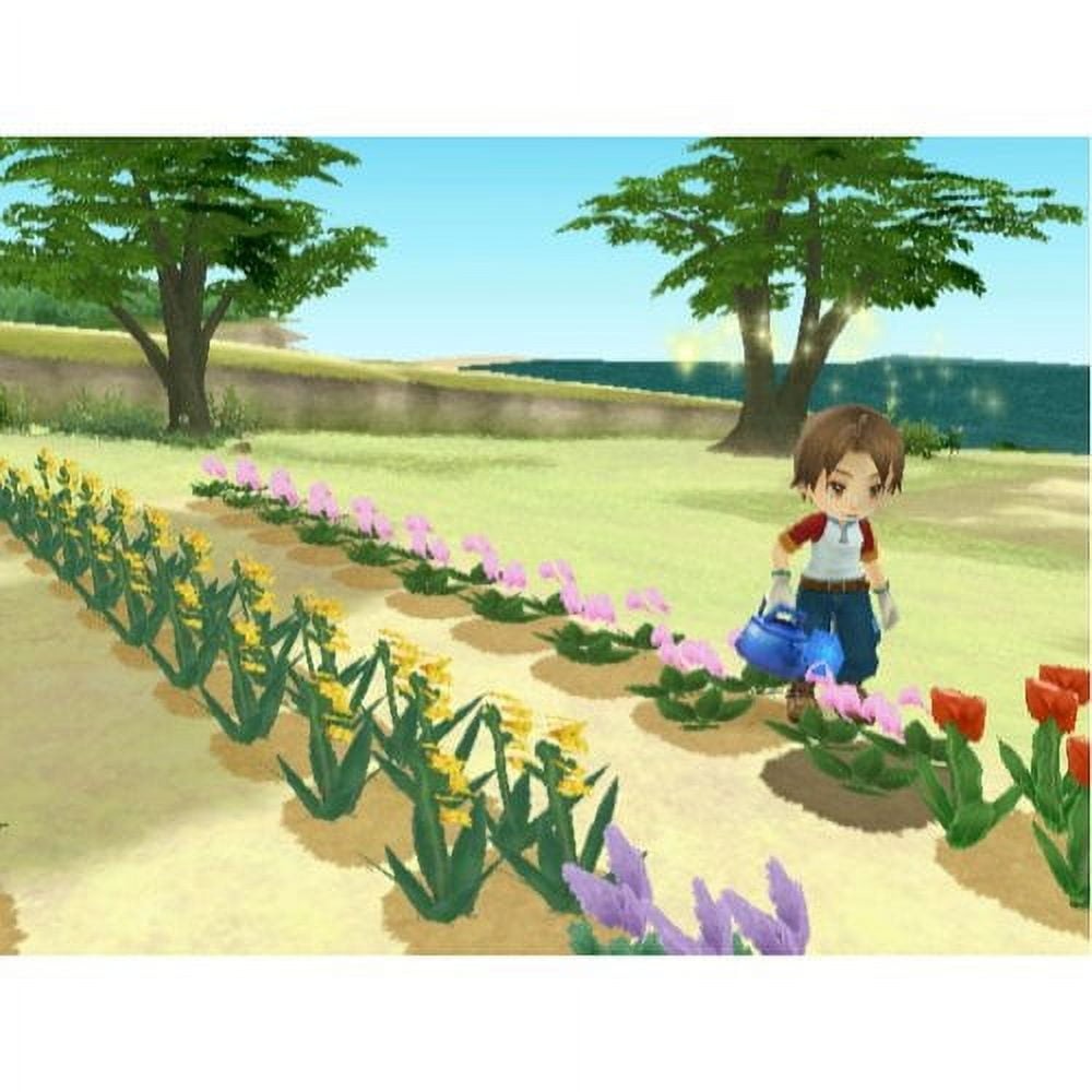 Harvest Moon Animal Parade Wii Walmart Business Supplies