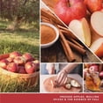 thumbnail image 3 of Recarga Yankee Candle ScentPlug Ciderhouse Paquete de 4, 3 of 8