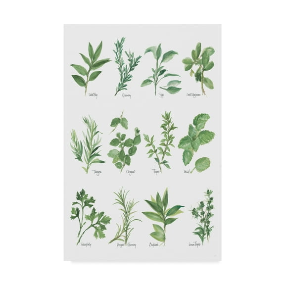 Trademark Fine Art 'Herb Chart' Canvas Art by Chris Paschke