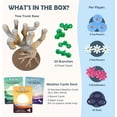 thumbnail image 3 of Bloomchasers: 3D Tree-Building Strategy Board & Card Game | Perfect for Family & Friends | 1-4 Players, Ages 12+, 3 of 6