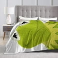 thumbnail image 4 of LAICAIW Kermit The Frog Ultra-Soft Lightweight Blanket Flannel Throw Blanket50 X40, 4 of 5