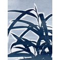 thumbnail image 2 of Warren, Annie 19x24 White Modern Wood Framed Museum Art Print Titled - Plant Life II, 2 of 4