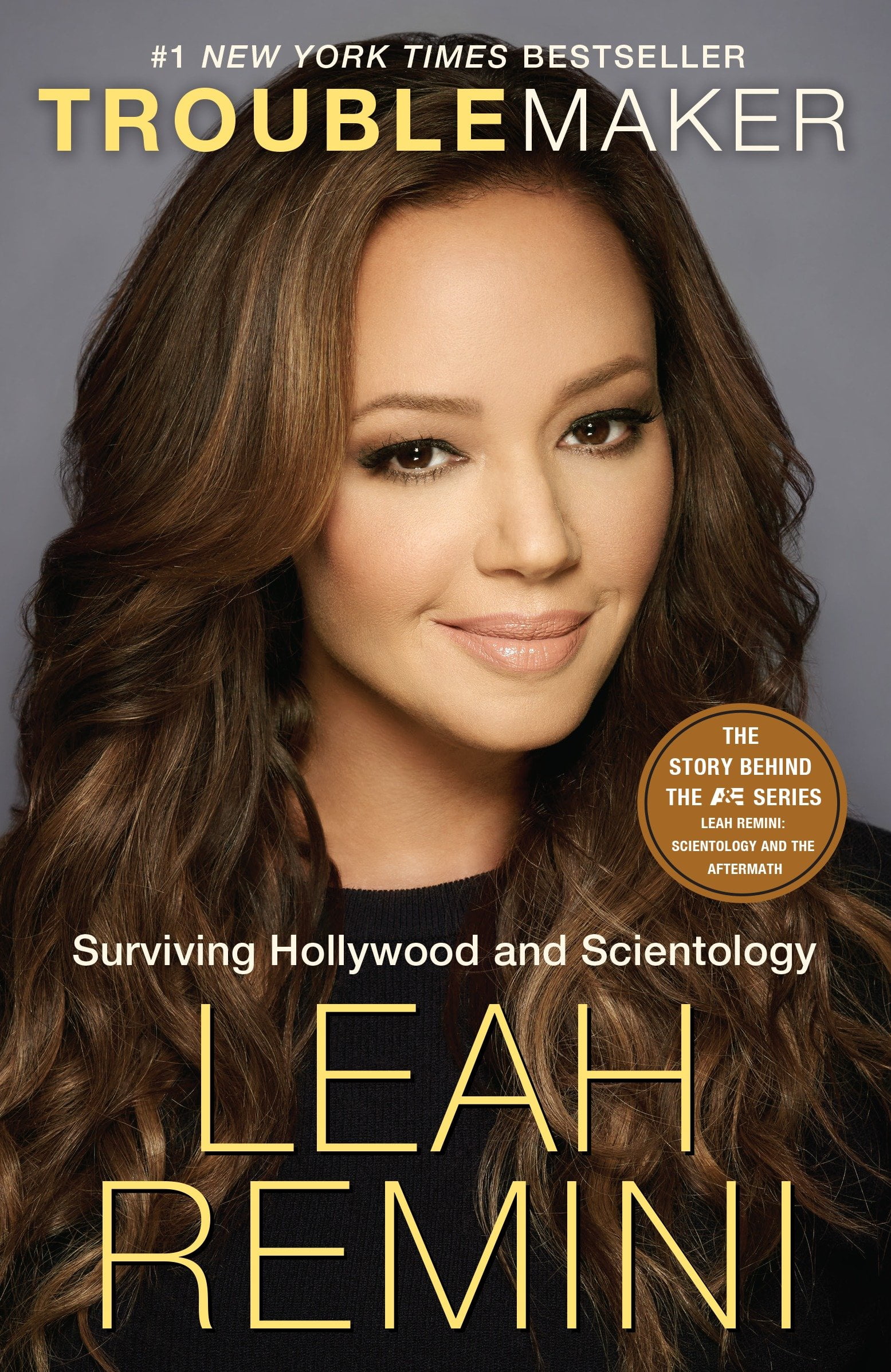 Troublemaker Surviving Hollywood and Scientology