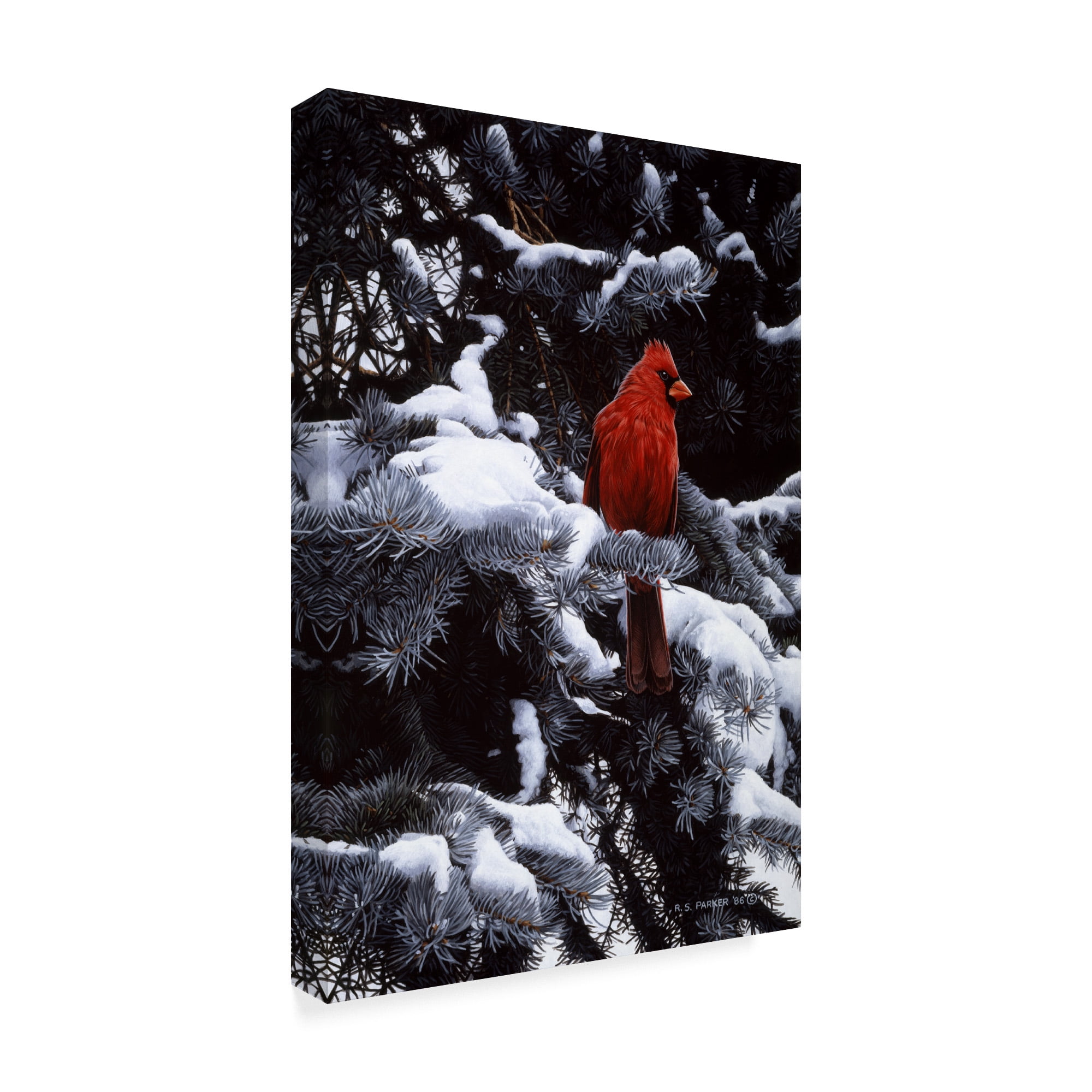 Trademark Fine Art 'Cardinal In Blue Spruce' Canvas Art by Ron Parker