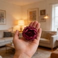 thumbnail image 2 of Cotton Cloth Round Peony Single Simulated Flower,Artificial Round Peony Flower Heads Flower Buds for Wedding Flower Wall & Arrangement,Bridal Bouquets, Table Centerpieces, Parties,(Wine,), 2 of 9