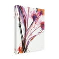 thumbnail image 2 of Trademark Fine Art 'Floral Explosion III on White' Canvas Art by Jan Griggs, 2 of 3