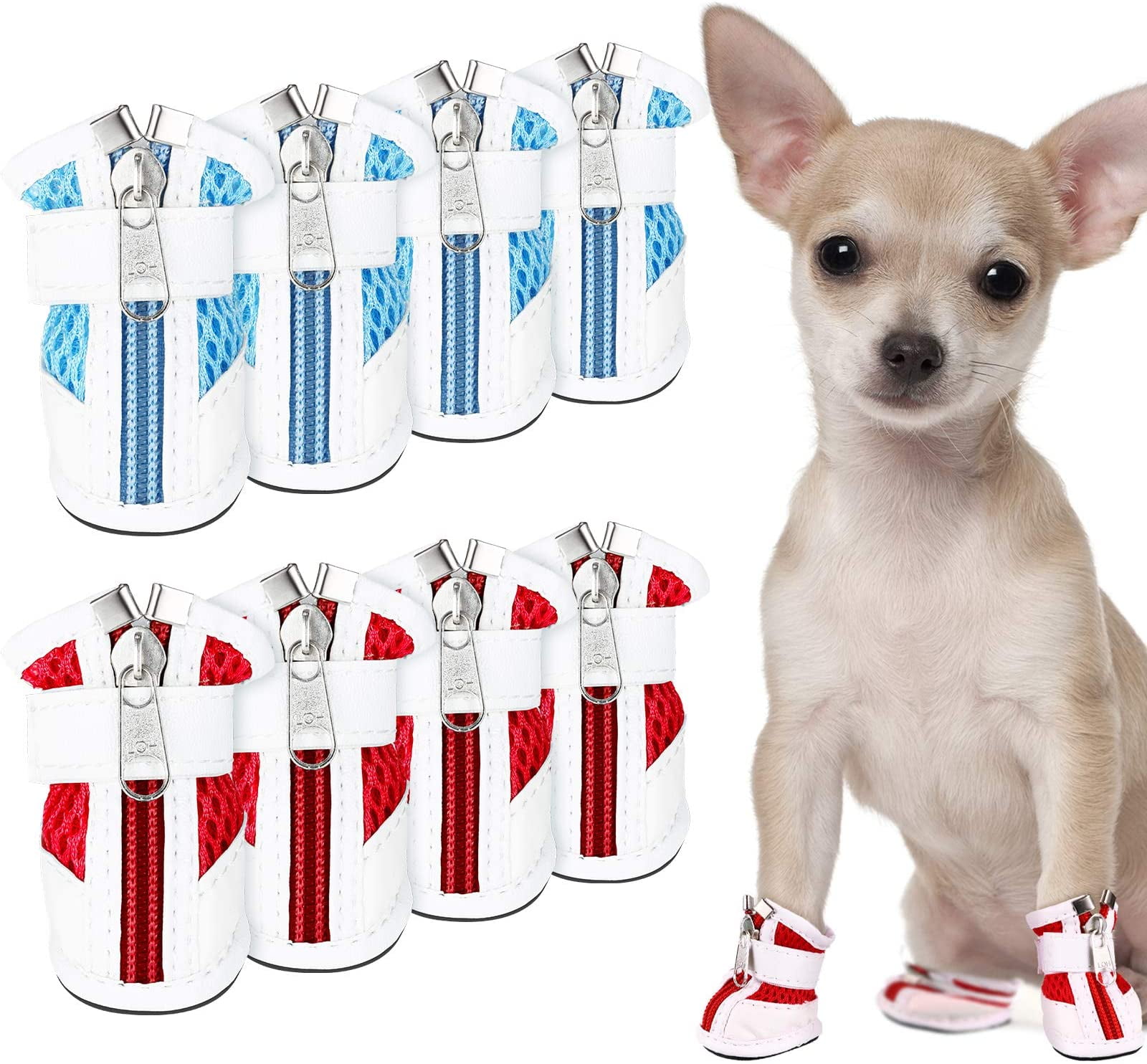 Why Does My Dog Lick The Pavement