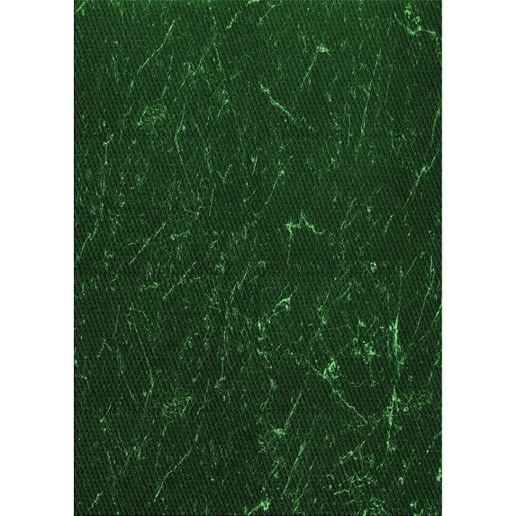 Ahgly Company Indoor Rectangle Patterned Green Area Rugs, 5' x 8'