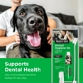 thumbnail image 2 of Nutri-Vet Dental Hygiene Kit for Dogs with Toothbrush, Finger Toothbrush and Enzymatic Toothpaste, 2.5 oz, 2 of 7