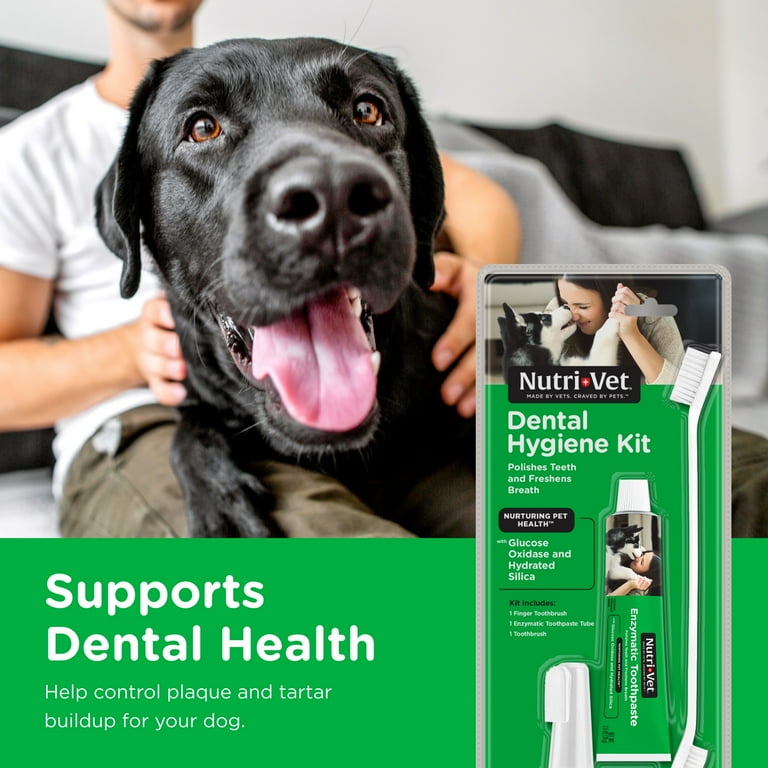 Nutri Vet Dental Hygiene Kit for Dogs with Toothbrush Finger Toothbrush and Enzymatic Toothpaste 2.5 oz