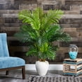 thumbnail image 3 of Nearly Natural 62" Hawaii Palm Artificial Tree in White Planter, 3 of 3