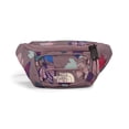 thumbnail image 4 of Mochila lumbar THE NORTH FACE Jester Fawn Grey Fall Wanderer, 4 of 5