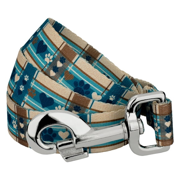 Country Brook Petz® 1/2 inch Puppy Picnic Dog Leash, 6 Foot