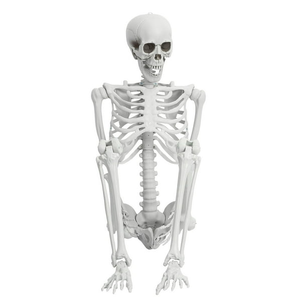 Utoimkio 5.4 Ft Halloween Decorations Skeleton Life Size Skeleton Full