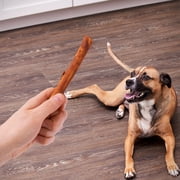 Ol' Roy Rawhide-Free Peanut Butter Retriever Sticks, 3.5 oz, 10 Count