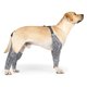 thumbnail image 4 of Funda Protectora Para Piernas De Mascotas Con Manga De Cuatro Patas Para Perros Envoltura Protectora Para Piernas De Cachorros Para Uso En Interiores Y Exteriores Speravity PT001479-02, 4 of 7