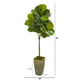 thumbnail image 2 of Nearly Natural 66in. Fiddle Leaf Artificial Tree in Green Planter (Real Touch), 2 of 2