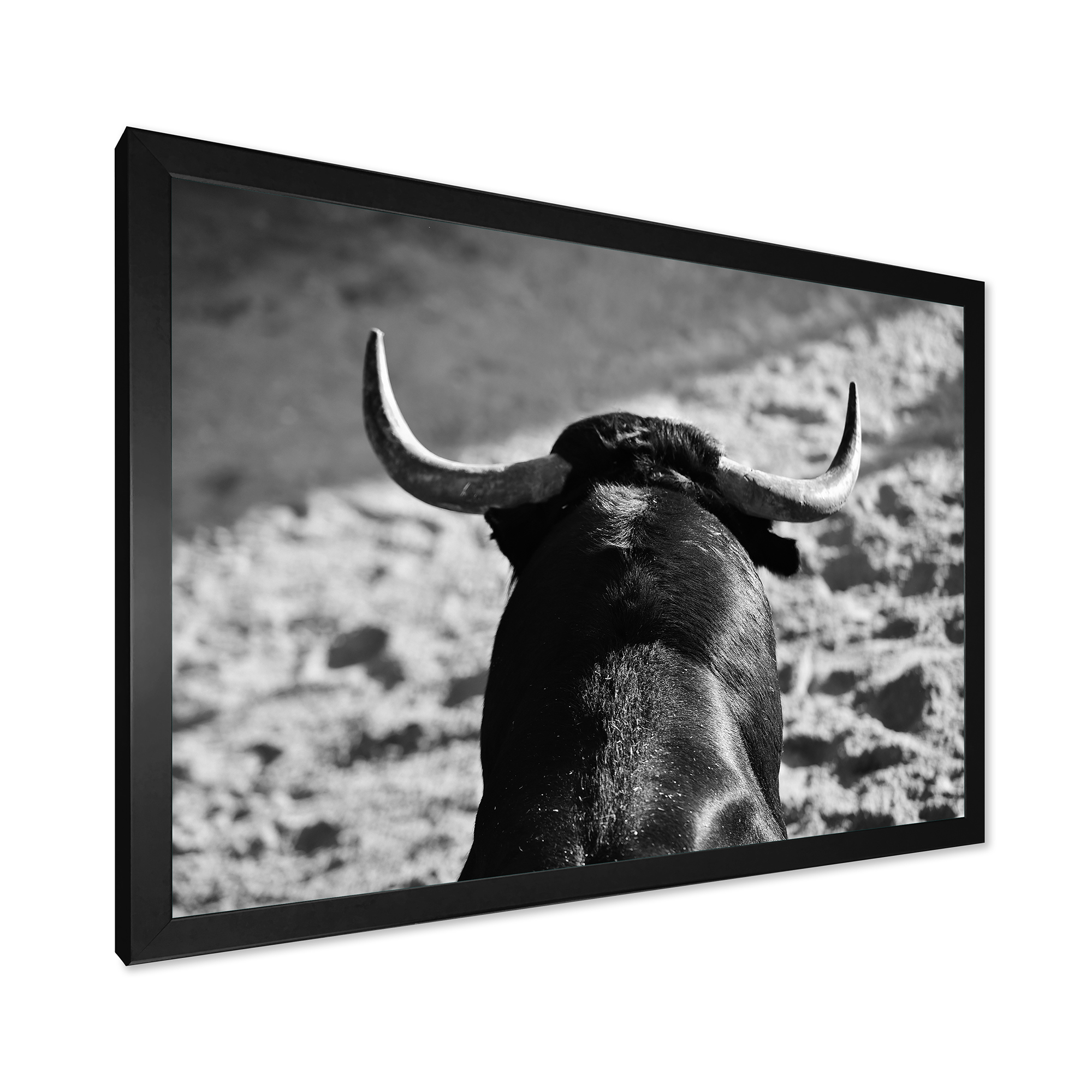Designart 'Black and White Portrait Of A Spanish Bull II' Farmhouse Framed Art Print