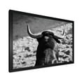 thumbnail image 2 of Designart 'Black and White Portrait Of A Spanish Bull II' Farmhouse Framed Art Print, 2 of 4