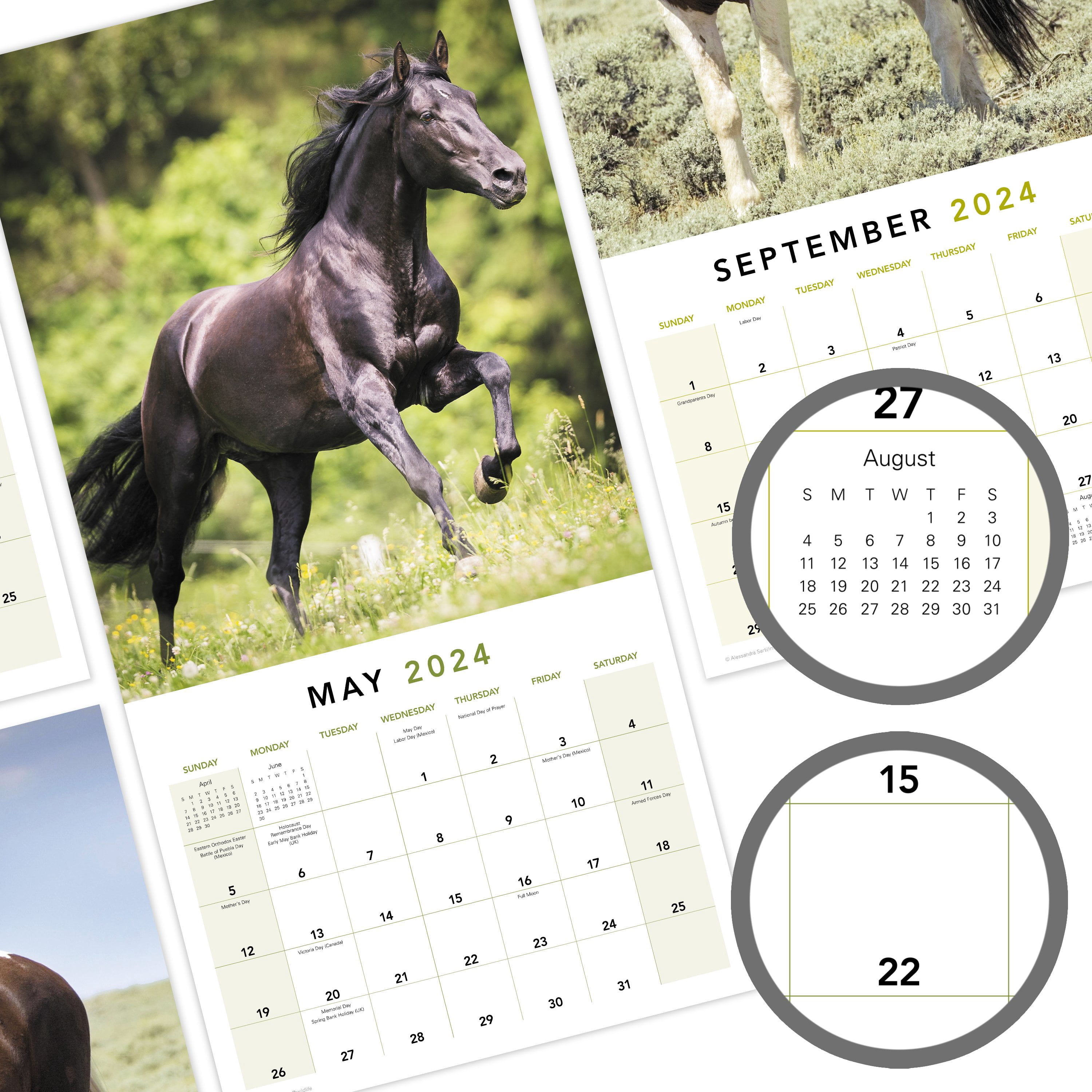 Horses 2024 Monthly Wall Calendar 12 x 12 - Wall Calendars