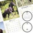 thumbnail image 4 of Horses 2024 Monthly Wall Calendar 12 x 12 - Wall Calendars, 4 of 9
