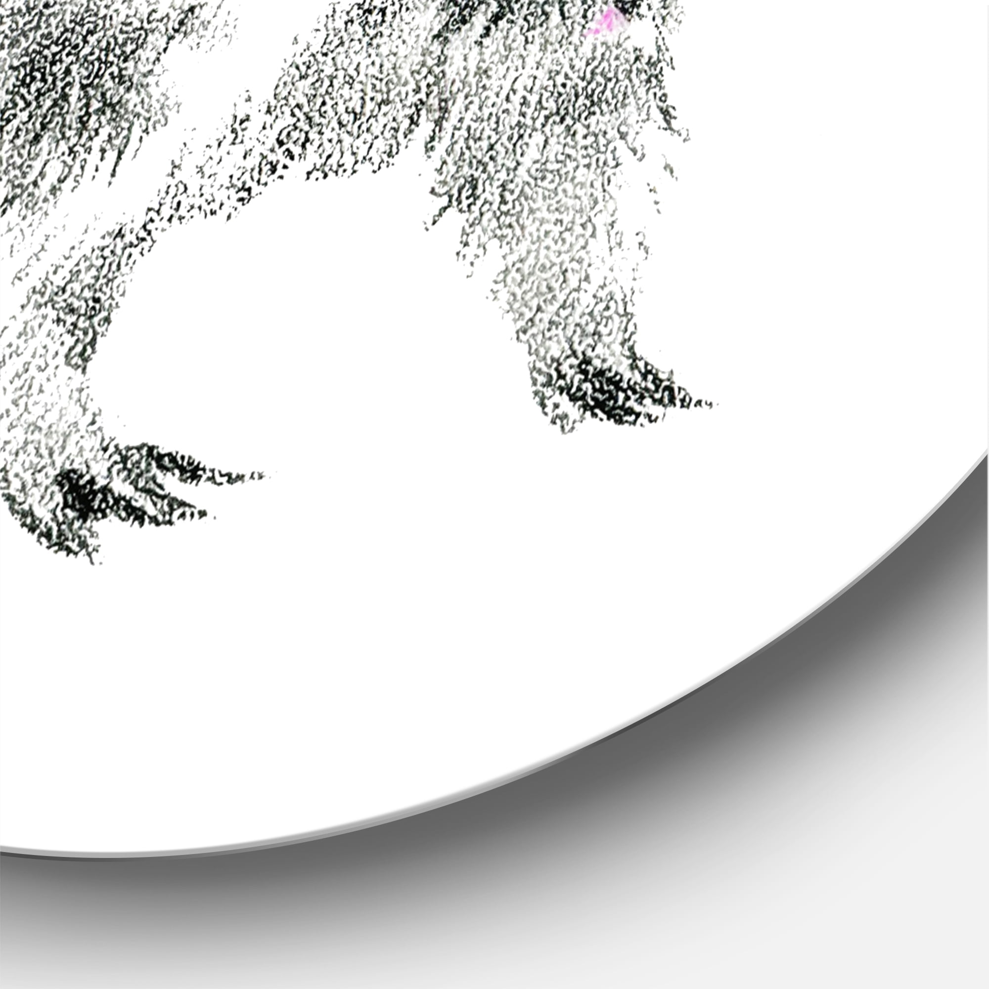 Designart 'Black and White Portrait Of Raccoon' Farmhouse Circle Metal Wall Art 29x29 - Disc of 29