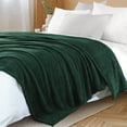thumbnail image 6 of Exclusivo Mezcla Fuzzy Fleece Throw Blanket for Couch Sofa, Lightweight Fluffy Solid Velvet Blanket, 50x60 Inches, Forest Green, 6 of 9
