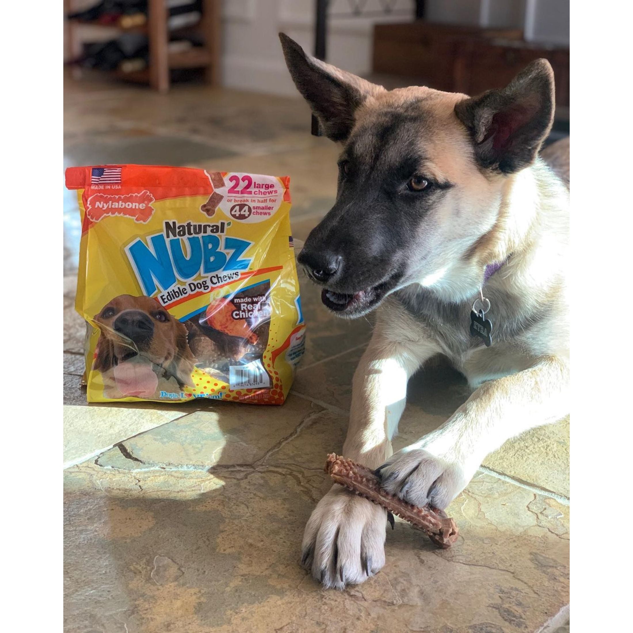 Nylabone Nubz Natural Dog Treats for Large Dogs, Chicken Flavor Dog Bones, Large - 30+ lbs., 2 lb. Pouch, 18 Count