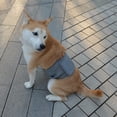 thumbnail image 3 of Male Dog Diapers, High Absorbing Dog Belly Bands for Male Dogs, Washable Reusable Dog Males Wraps, 3 of 8
