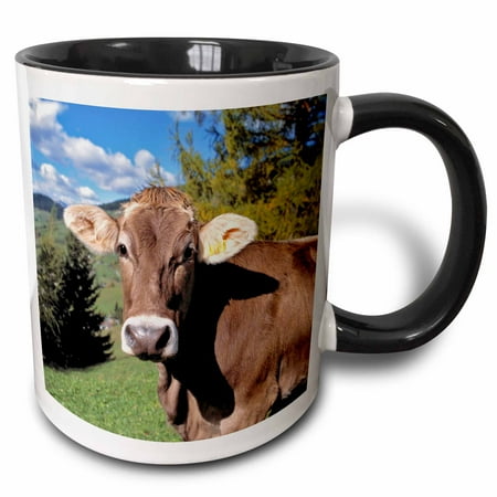 

Italy Dolomite Alps Swiss Brown cow - EU16 RER0140 - Ric Ergenbright 11oz Two-Tone Black Mug mug-82188-4