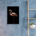 thumbnail image 4 of Epic Art 'Flamingo' by Incado, Acrylic Glass Wall Art, 16"x24", 4 of 8