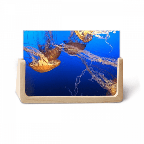 Ocean Jellyfish Science Nature Picture Photo Wooden Photo Frame Tabletop Display