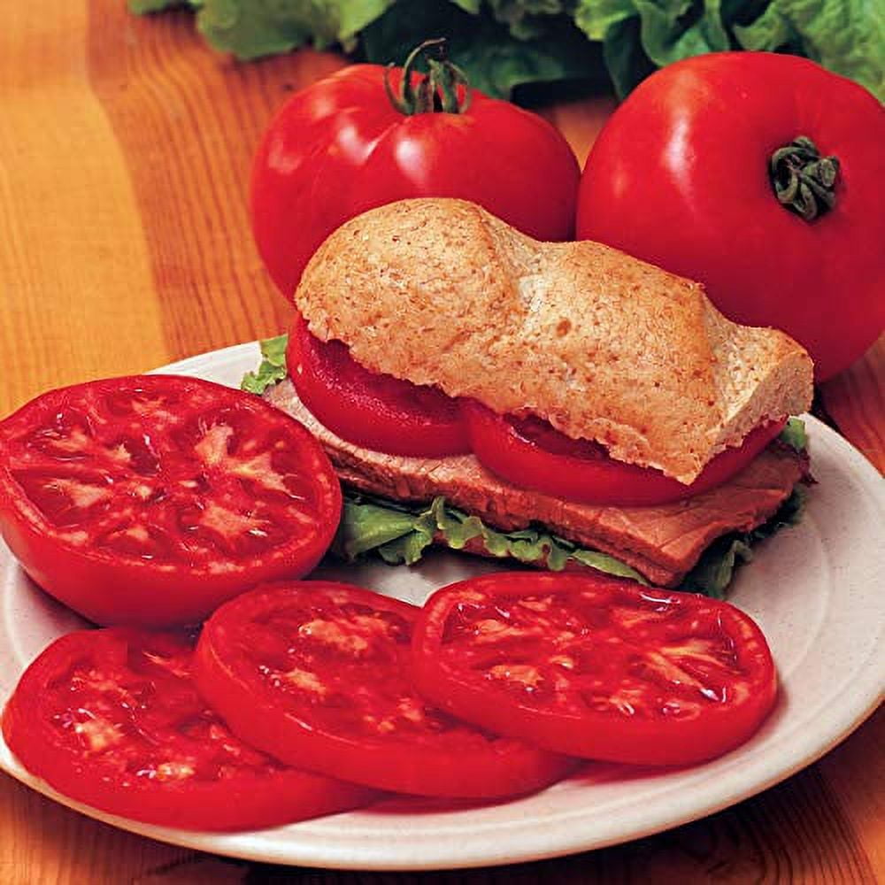 【レッチリとまと】 Burpee 'Steak Sandwich' Large Plant, Red Slicing Tomato