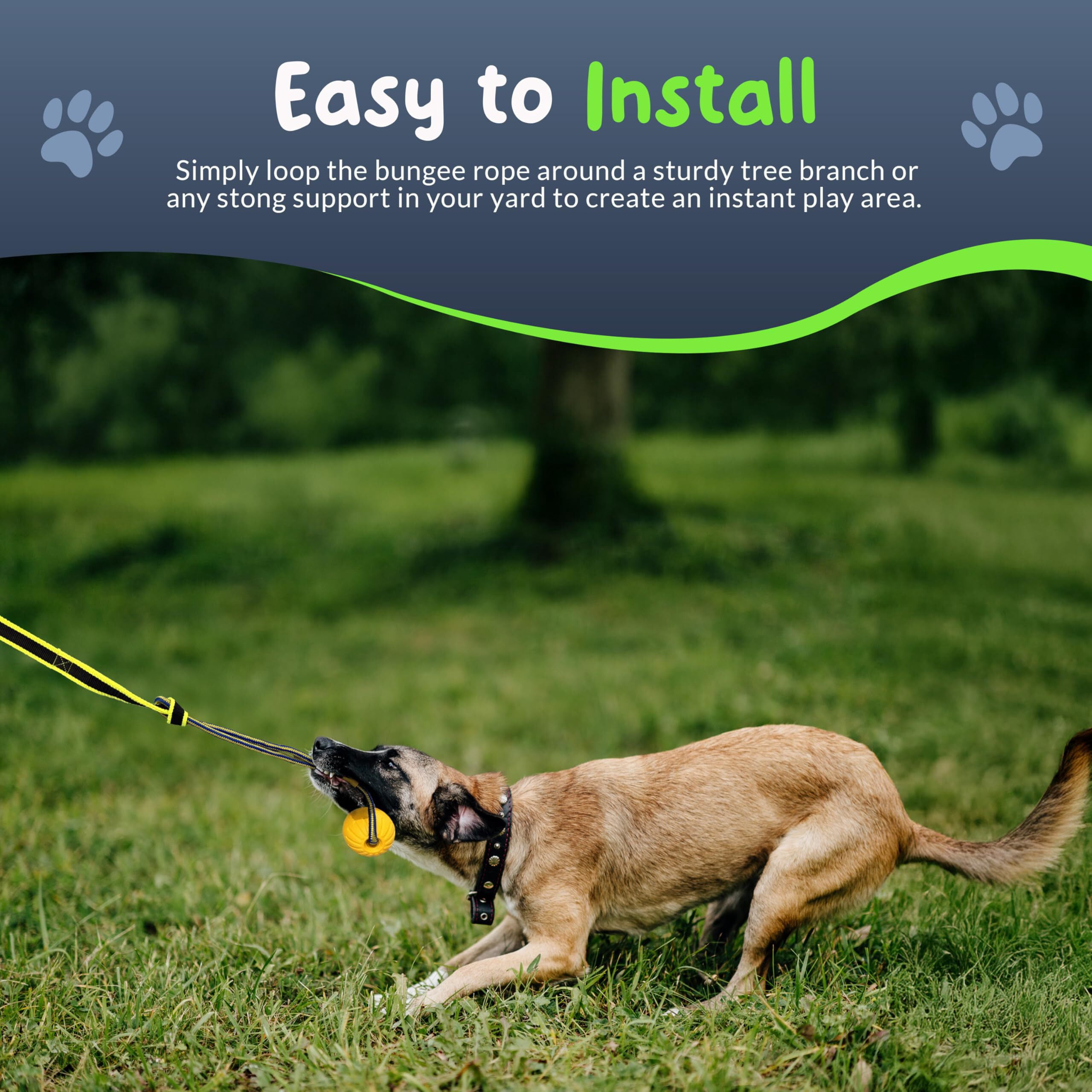 Petite Paws Tree Rope Toy for Dogs — Bungee Tug War Toy for Outdoor Exercise & Play