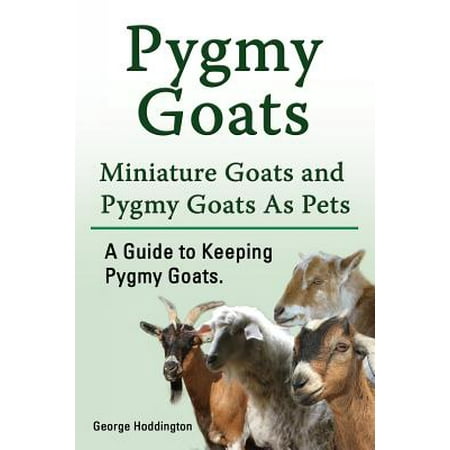 Pygmy Goats. Miniature Goats and Pygmy Goats as Pets. a Guide to Keeping Pygmy