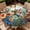 Bird, variant on Outdoor Tablecloth with Umbrella Hole and Zipper Waterproof Round Fitted Tablecloth with Elastic Edge, Wipeable Outdoor Table Cover for Patio, Garden, Picnic Fits 36-65" Round Tables