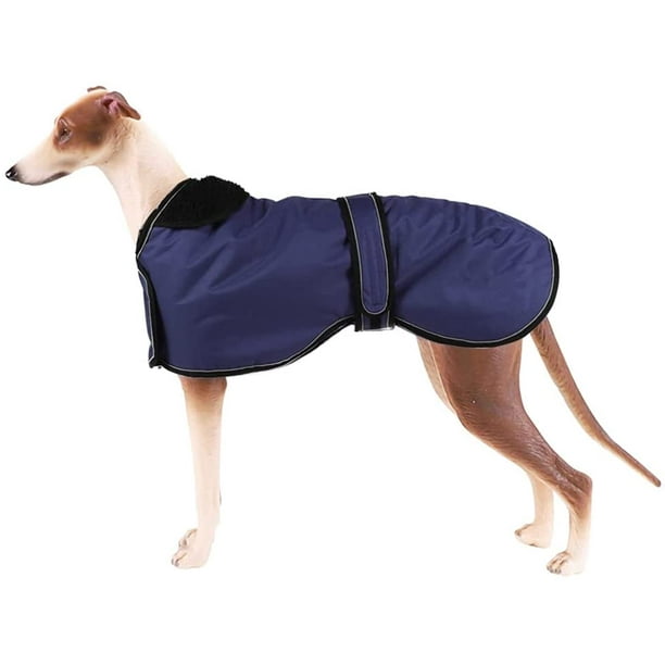 How to measure dog for winter coat cheap
