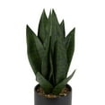 thumbnail image 3 of Anko Faux Snake Plant in Pot, 3 of 5